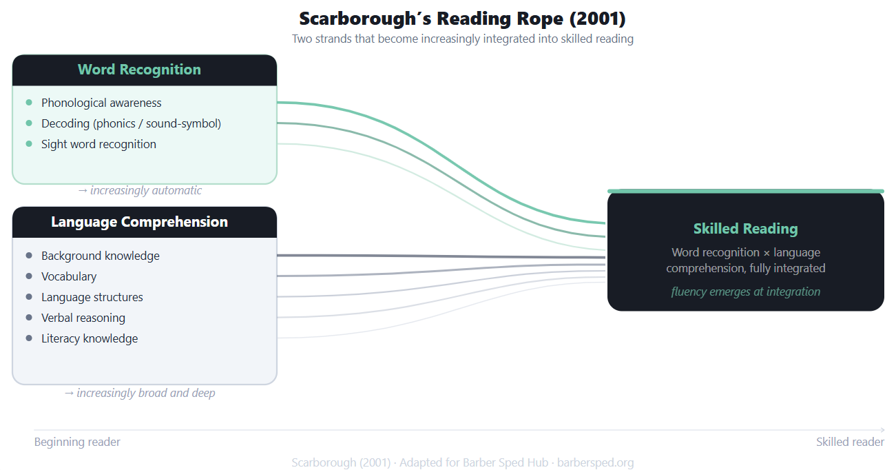 Scarborough's Reading Rope (2001) — two strands, Word Recognition and Language Comprehension, that become increasingly integrated into Skilled Reading. Adapted for Barber Sped Hub.
